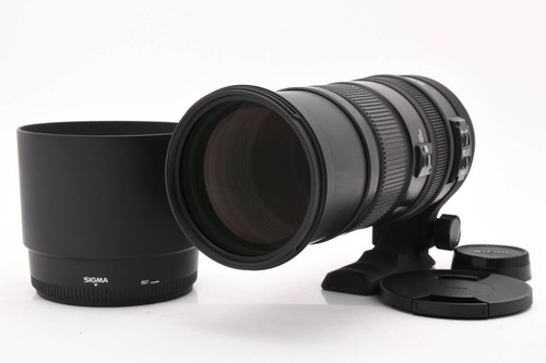 Sigma apo 150 500 - mm, f5-6.3
