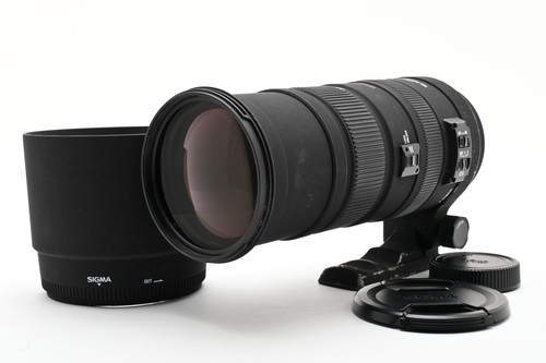 Ecc cappuccio sigma af apo - af,