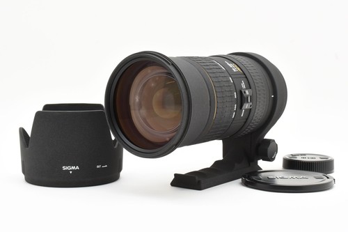 Ecc con cappuccio sigma - [ecc+3,